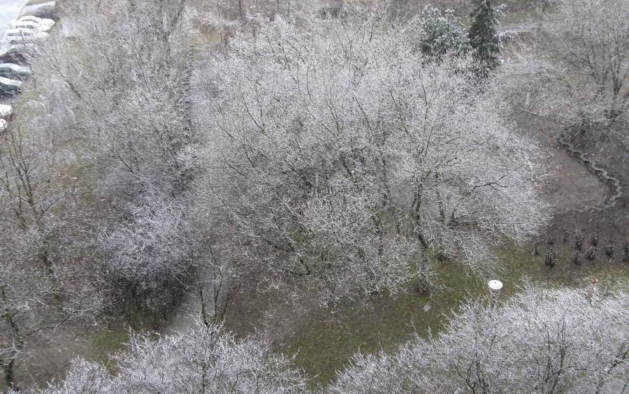 To ma być wiosna ?