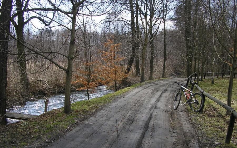 Teren i strumyk w drodze do Puszczy Zielonki
