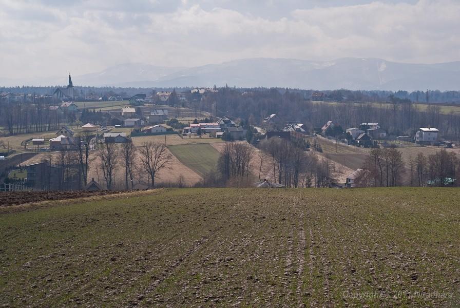 widok z drogi do Bestwiny