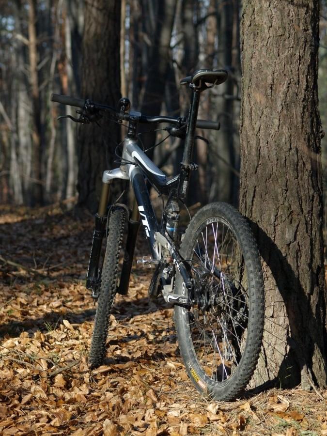 Giant VT