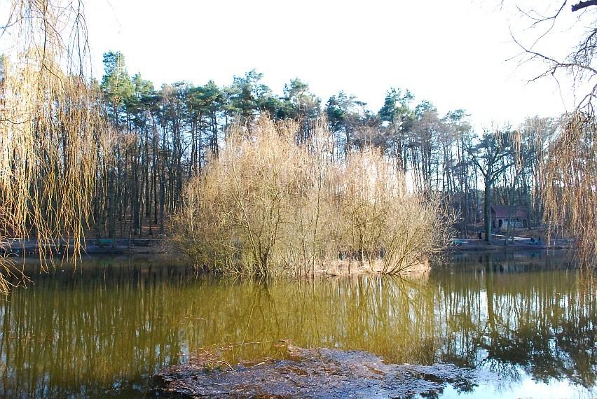 Wyspa na Jeziorze Uroczysku