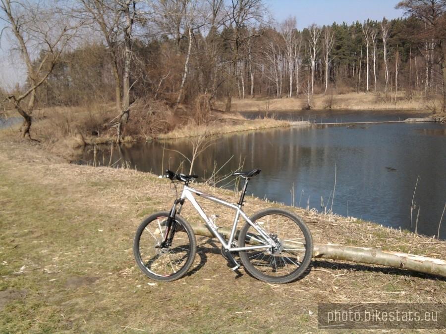 Staw Browarny