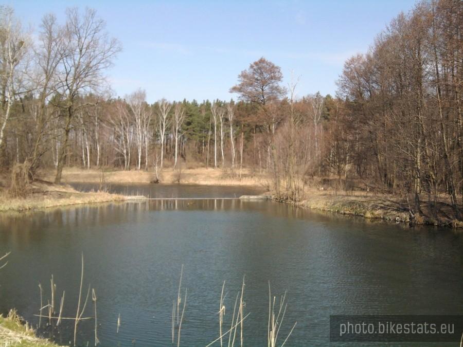Staw Browarny (Staw Borowik)