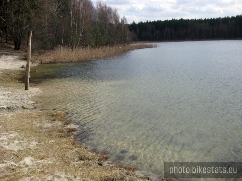 Czysta woda nad Jeziorem Miejskim w Okońcu.