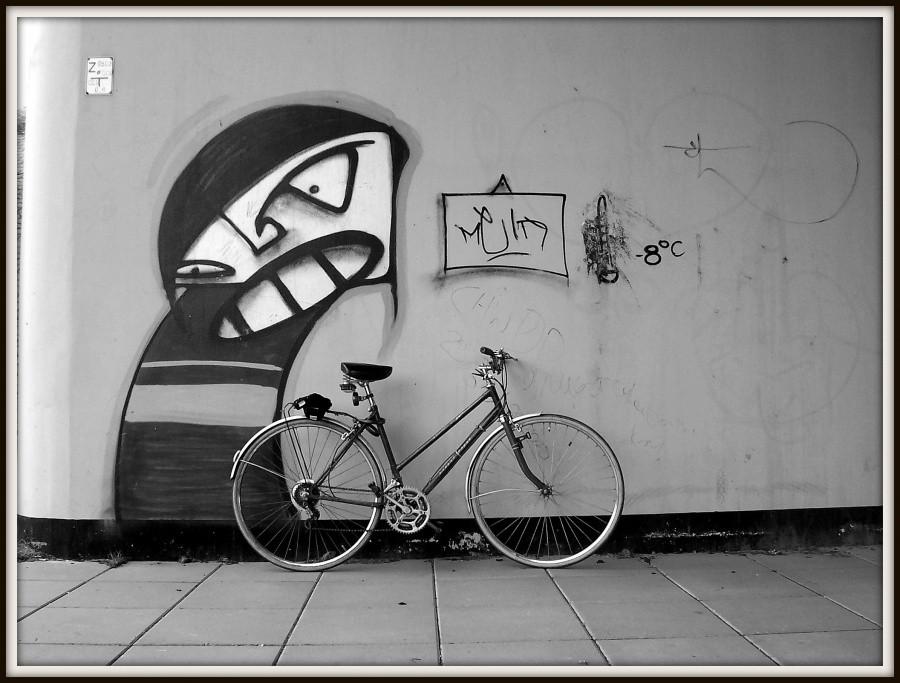 Koza. Grafitti. Szczecin.