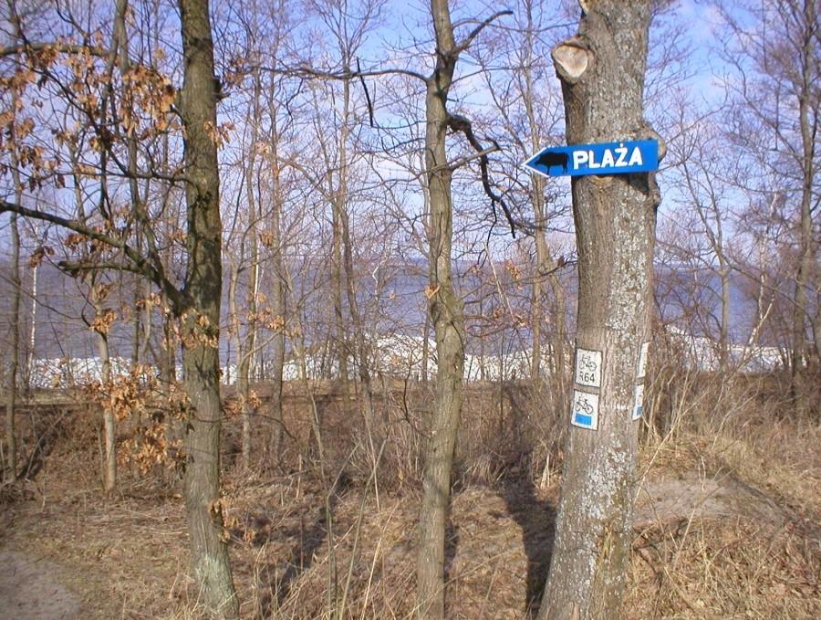 DZIKI KALAMBUR :-)