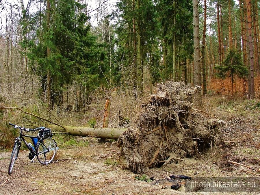 Skutki wiosennych wiatrów.