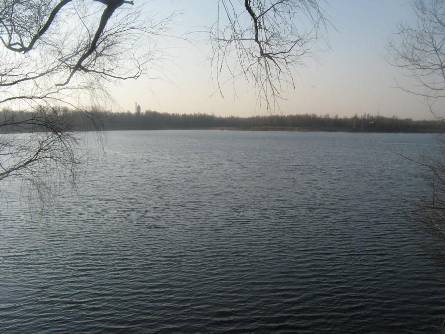 Stawiki w Sosnowcu