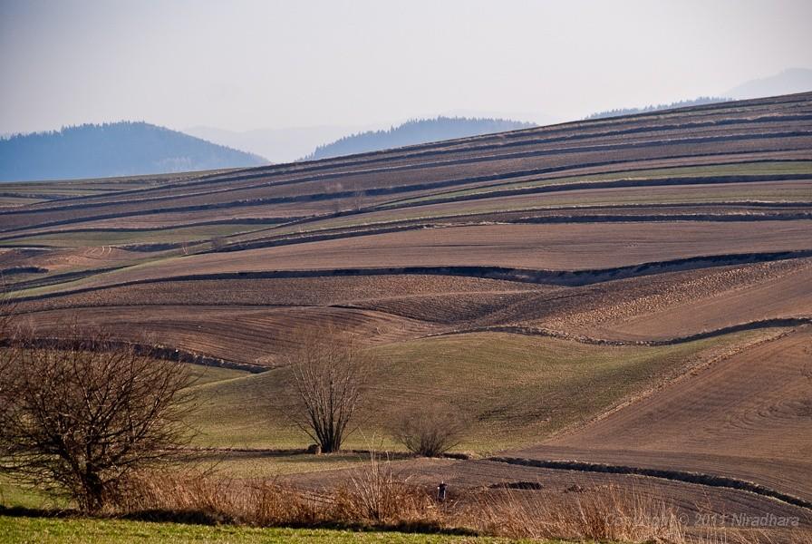 widoczek 1