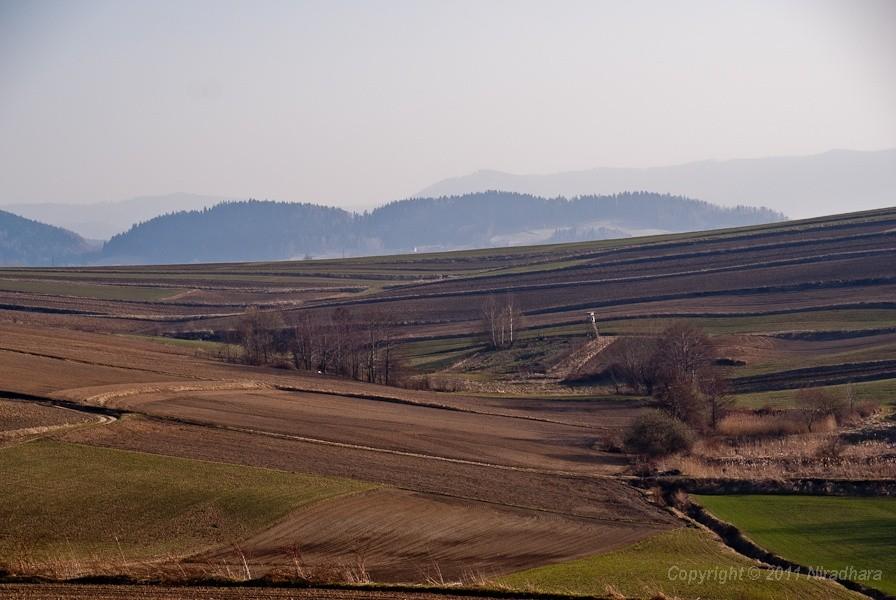 widoczek 3