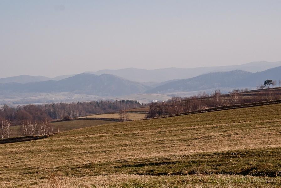 widoczek 4