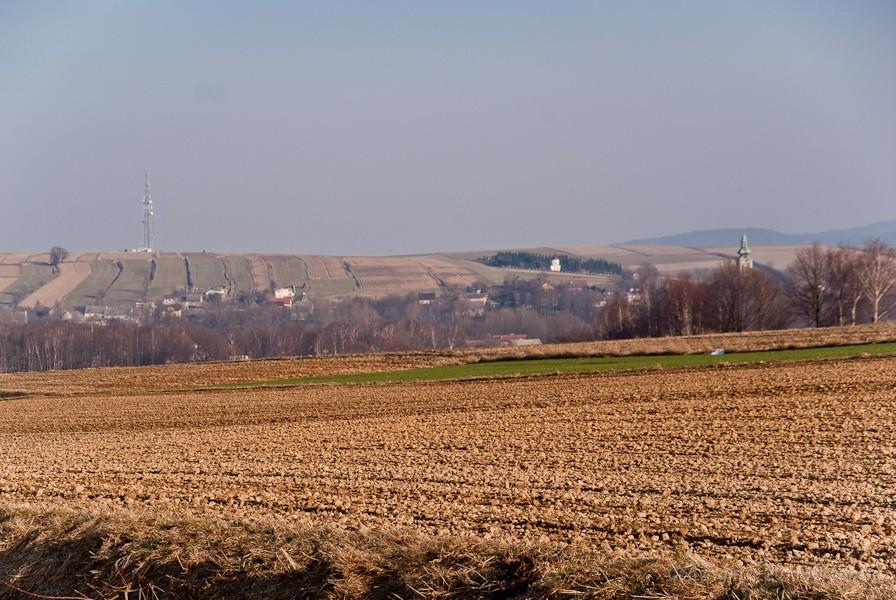 widoczek 5