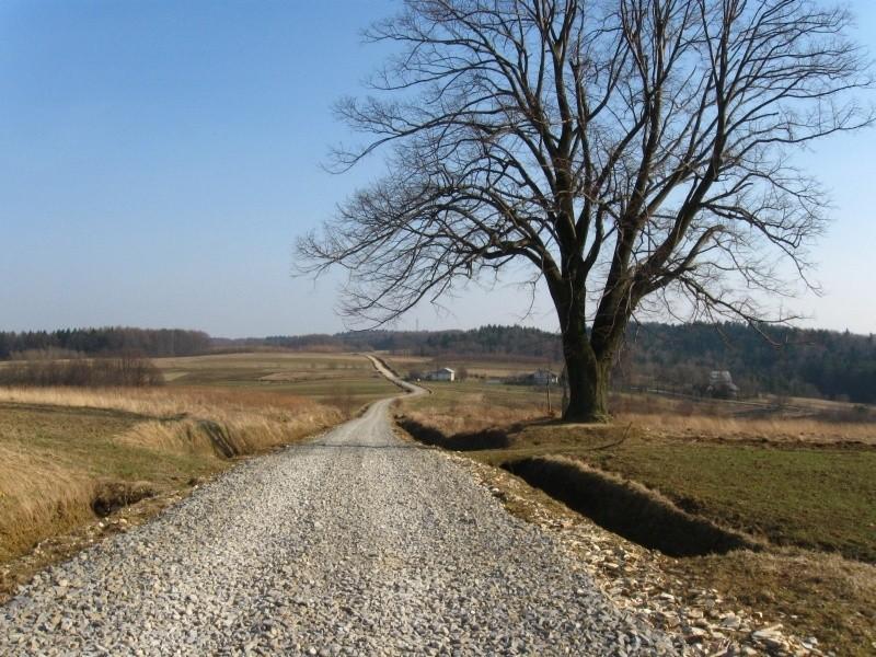 Okolice Grzegorzówki- kamienie to za mało, dalej były pokruszone skały :/