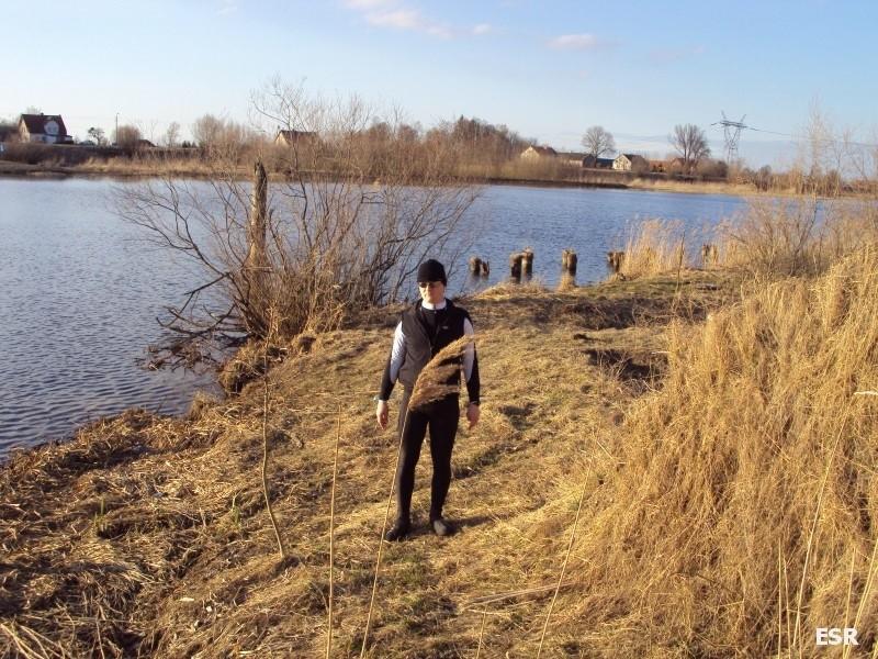 Mikołaj nad Nogatem