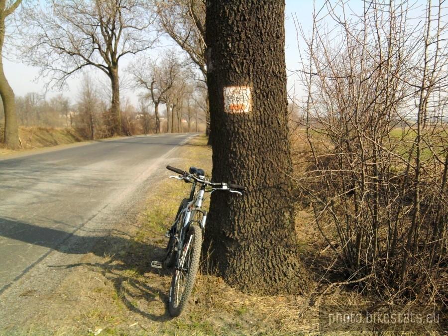 Droga pomiędzy Kostrzynem a Tarnowem