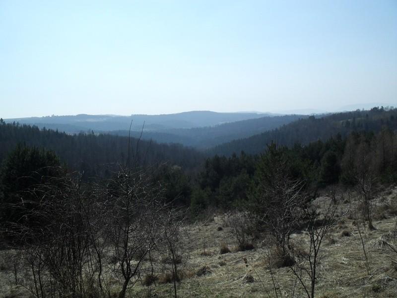 Zielony szlak