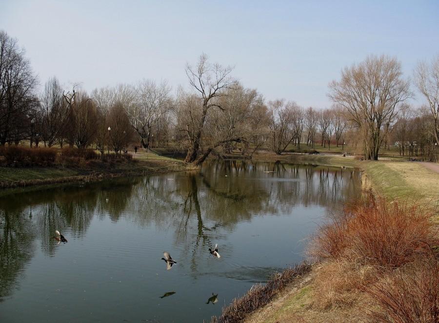 Park Kępa Potocka