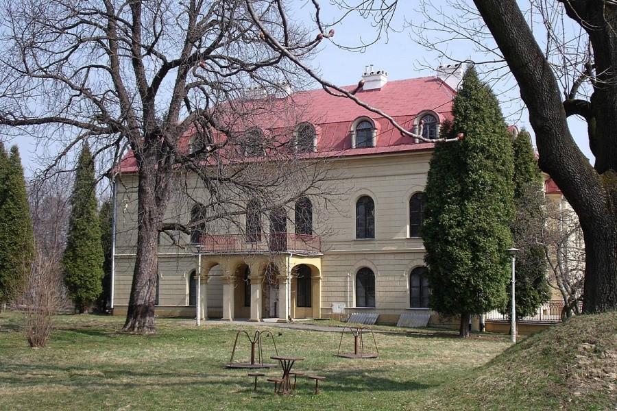 Pałac Radziwiłłów w Grojcu