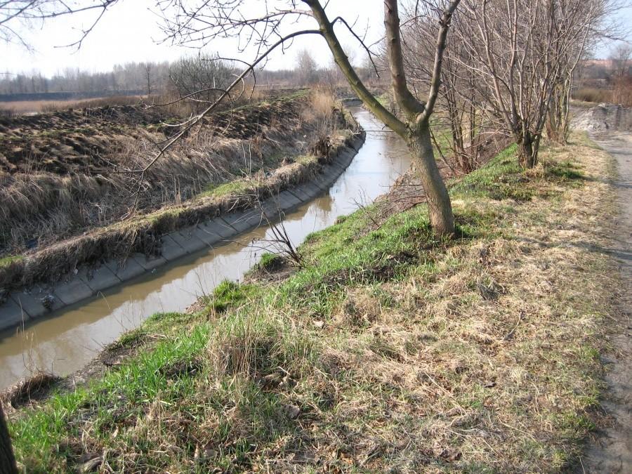 Rawa z grobli (Szabelnia)