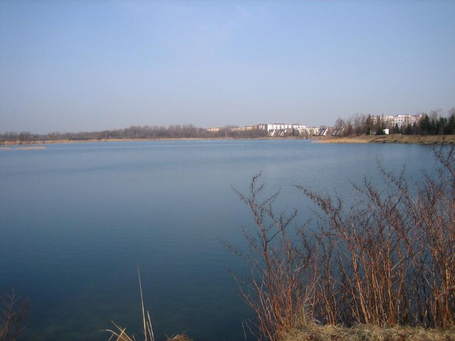 Staw Hubertus Mysłowice/Szopenice Borki