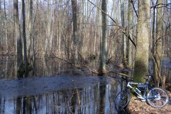 Rower, bagno i błyszcząca obręcz