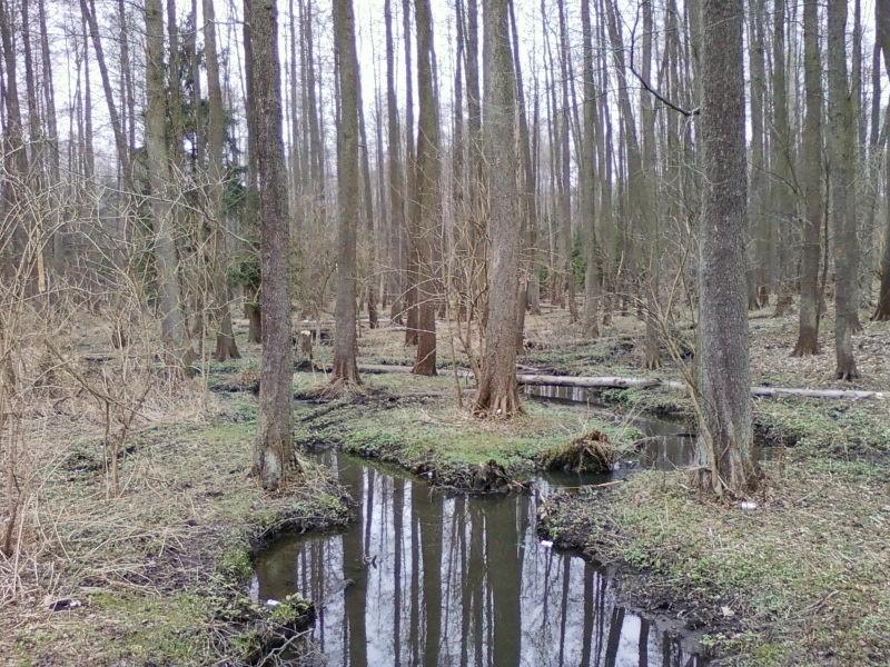Stały punkt trasy