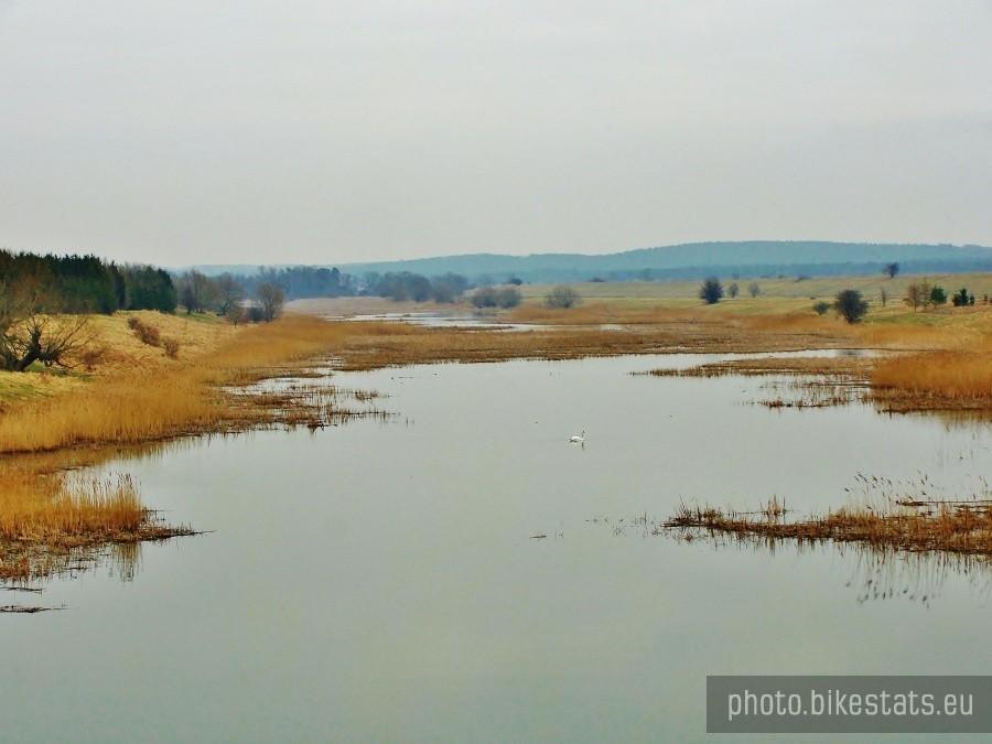 Nadwiślański Rezerwat Przyrody.