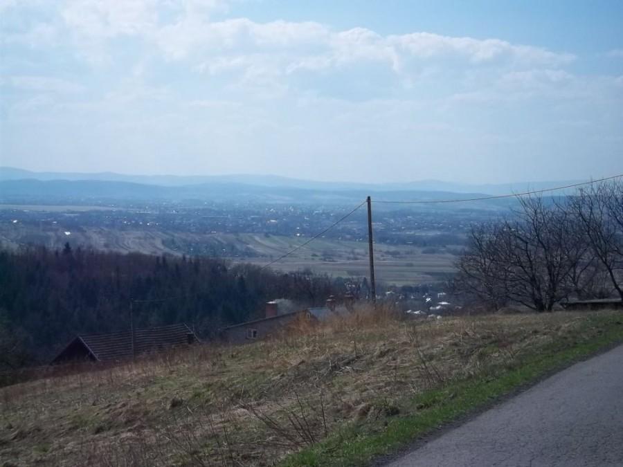 kolejna porcia górek