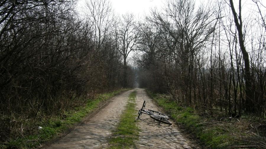 Brukowany zjeżdzik za Cichowem. Nieżle mną wytelepało ...