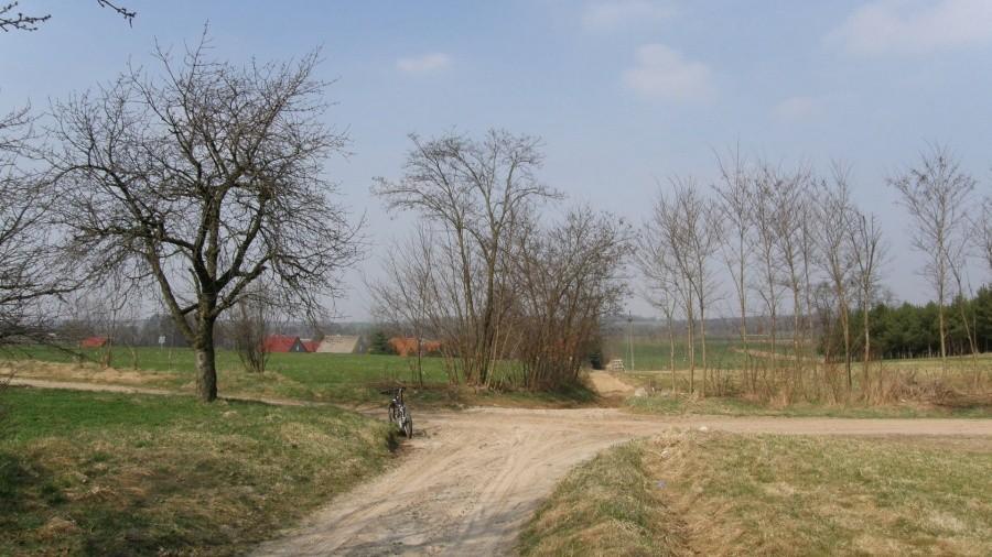 Krzyżówka, którą Gigowcy przejeżdżają ... cztery razy :)