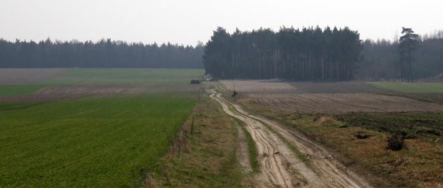 Tutaj piachu tyle że w połączeniu z wmordewindem jazda ponad 20 km/h wymaga niezłego powera !