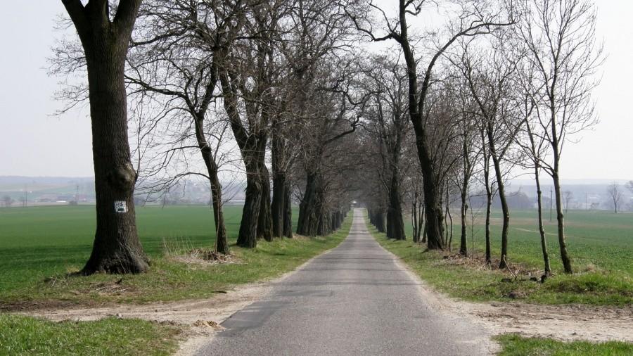 Miły i szybki zjazd na południowy kraniec trasy