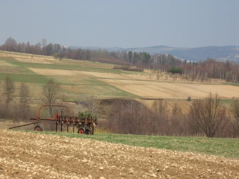 Polne klimaty.