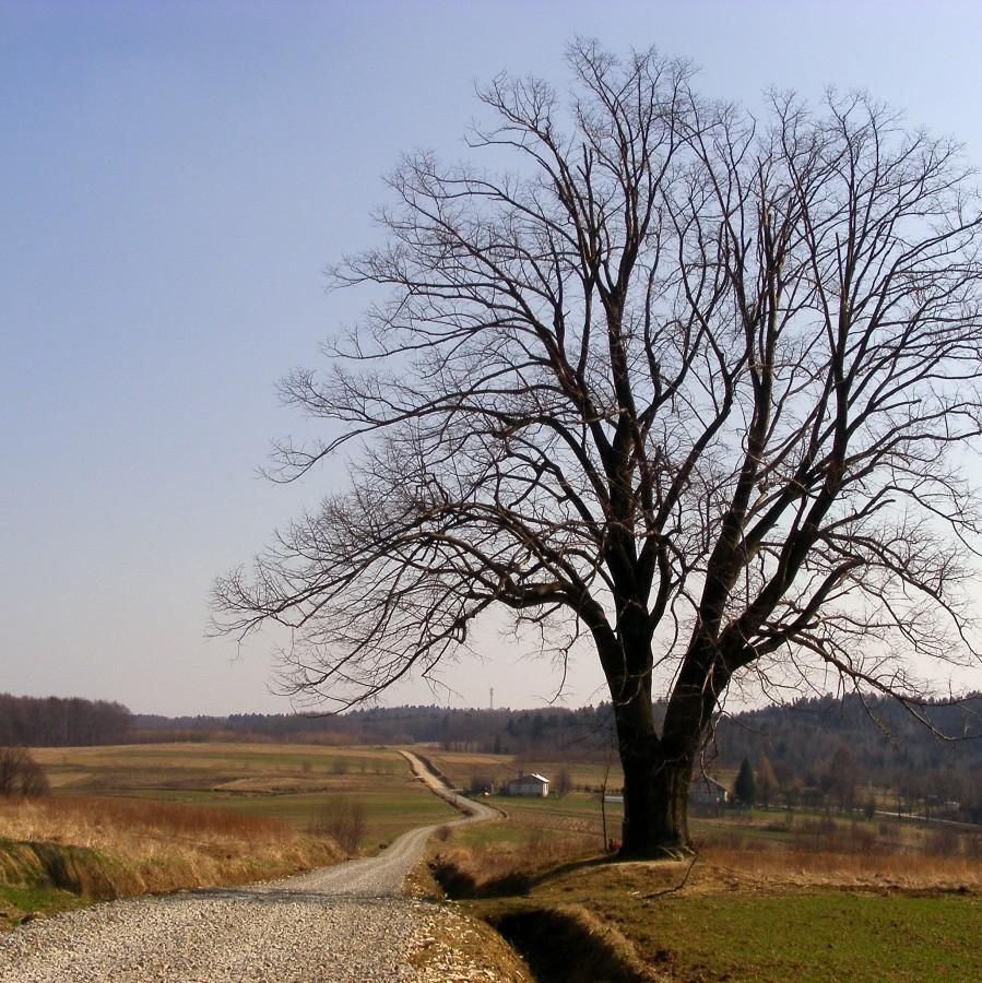 Gdzieś tam na szutrach