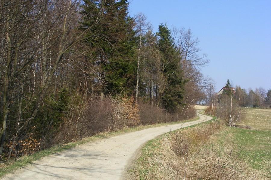 Podobnie do tej wyglądało dzisiaj sporo moich dróg