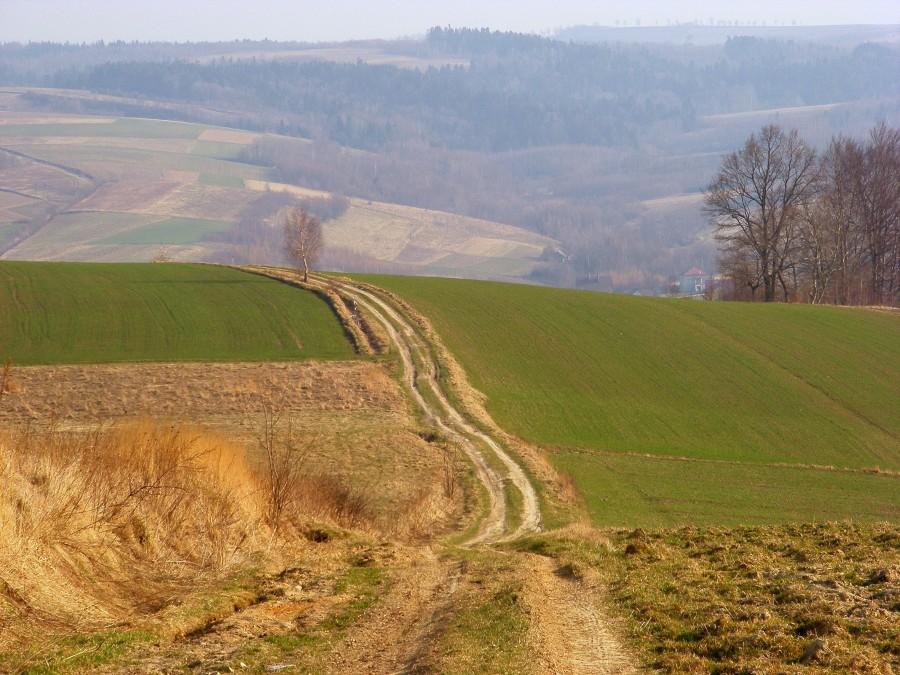 Zjazd dla którego trochę zmieniłem swoją trasę:)