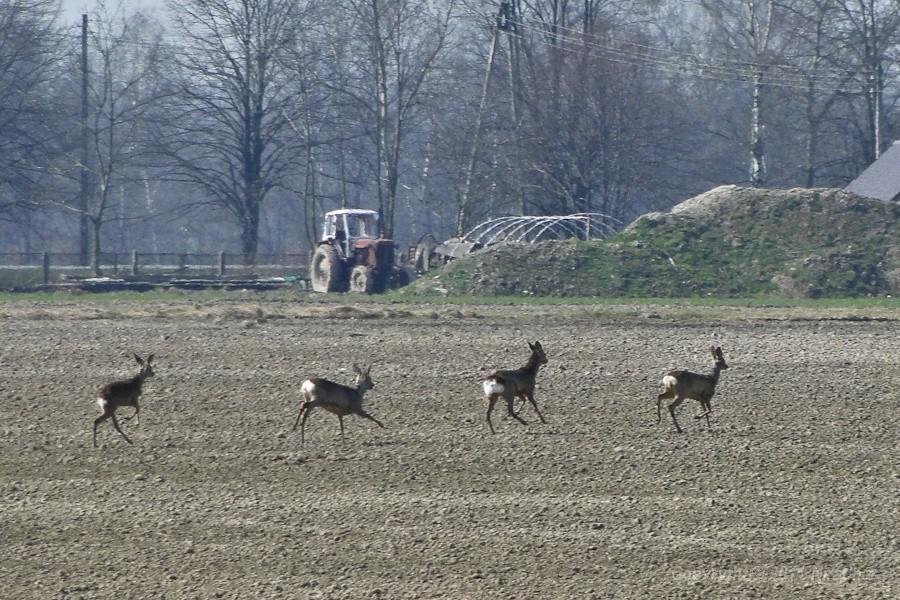 nie chciały pozować