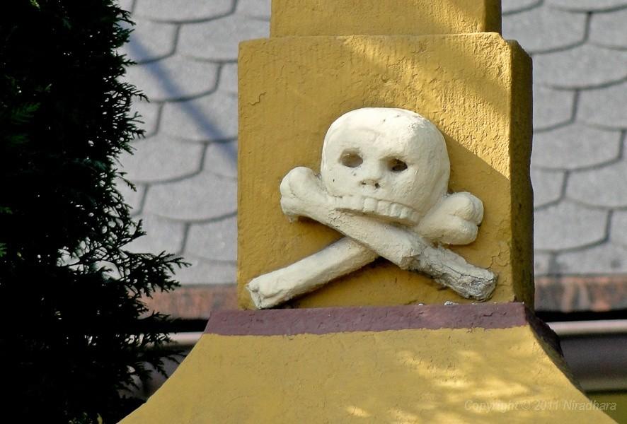 ciekawe czemu nie ma dolnej szczęki