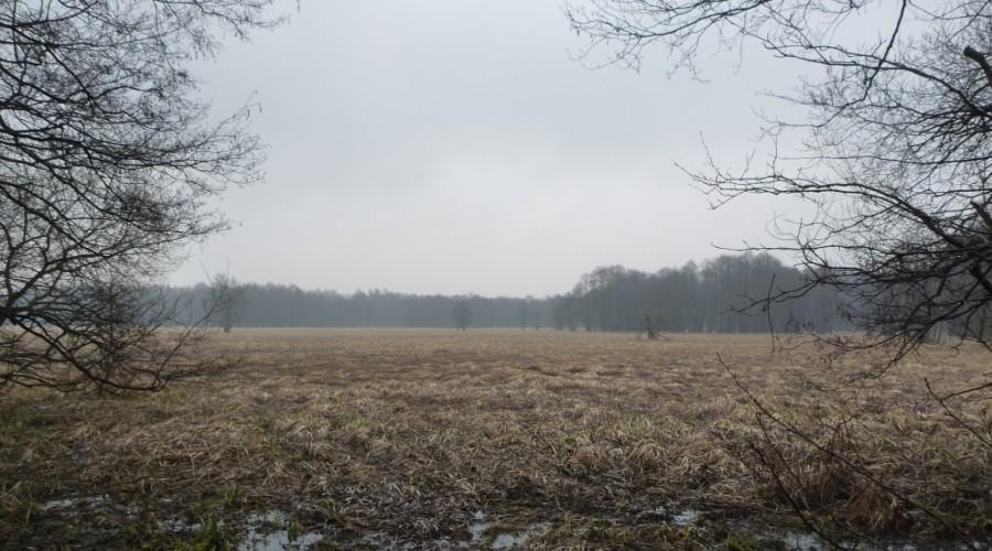 Dopiero co śmigaliśmy tędy po lodzie