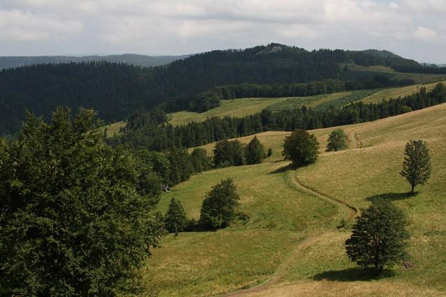 Beskid Sądecki 2010