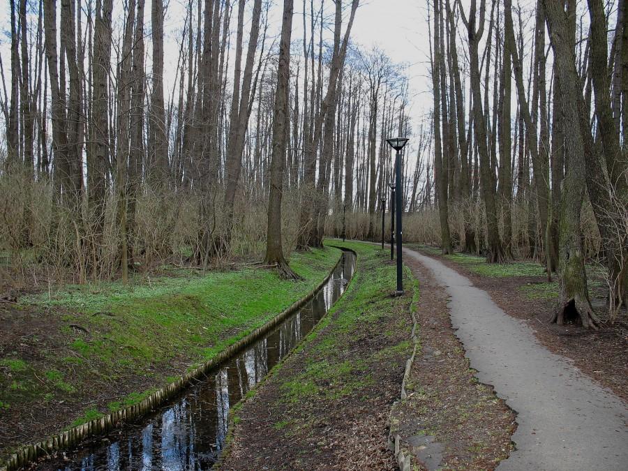 Park Olszyna