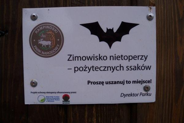 Siedlisko nietoperzy