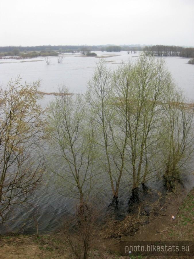 Widok z wieży widokowej na rozlewiska nieopodal Kiszkowa.