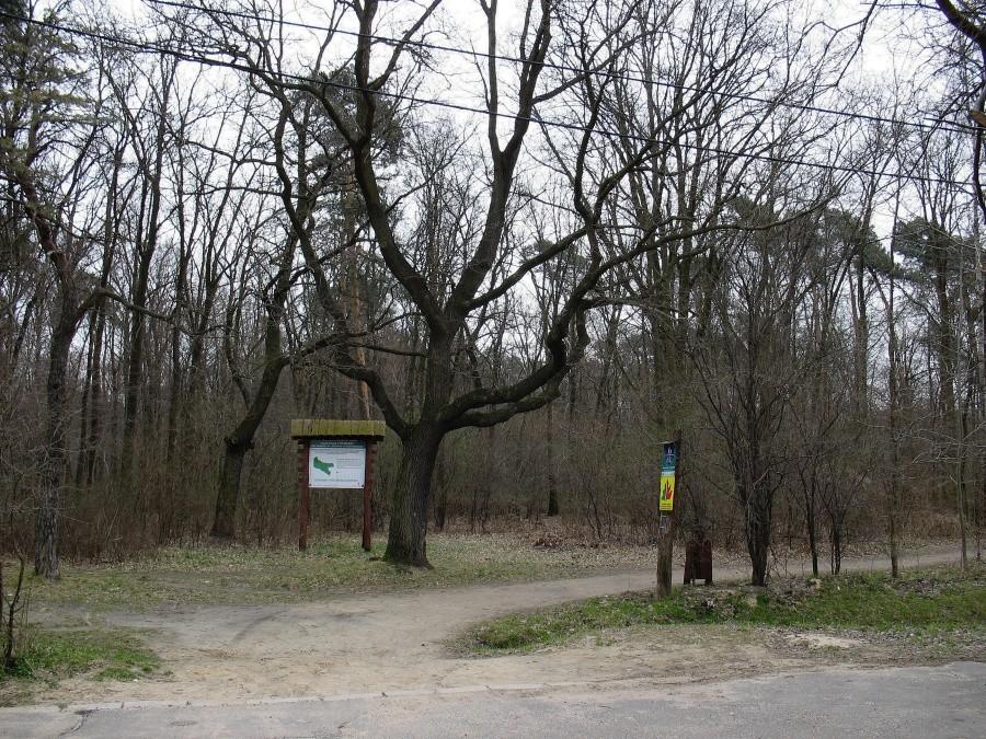 Pyrski Las - wejście od ul. 6 Sierpnia.