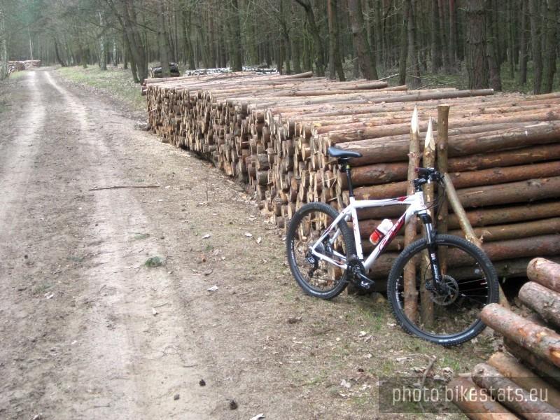 Przy drewnianych balach, na leśnej ścieżce.