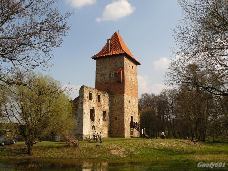 Zamek w Chudowie