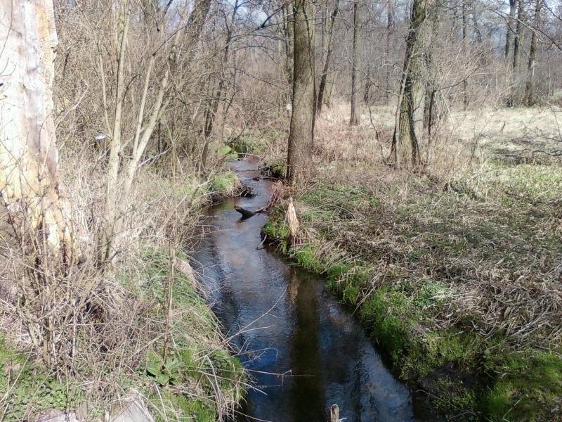 Nad rzeczką opodal krzaczka...