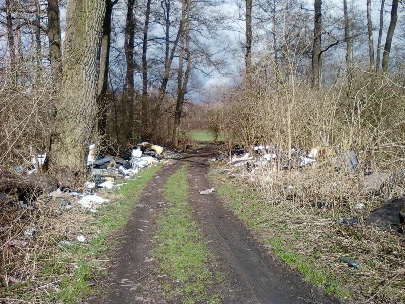 ...jest sobie dzikie wysypisko :(