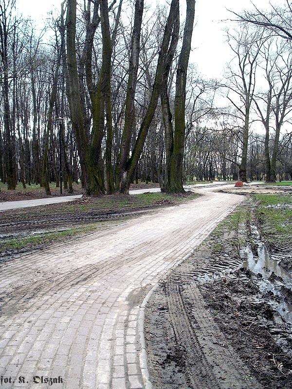Droga dla... robotników?