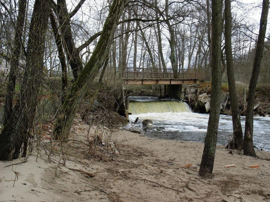 Otwock - MTBO Mlądz, na pkt 9, "Cypel poniżej ruin młyna"